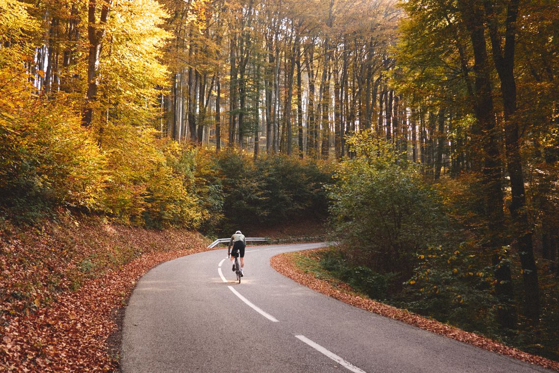 Wienerwald · Vienna, Austria · October 26, 2019 · © Philipp Doms