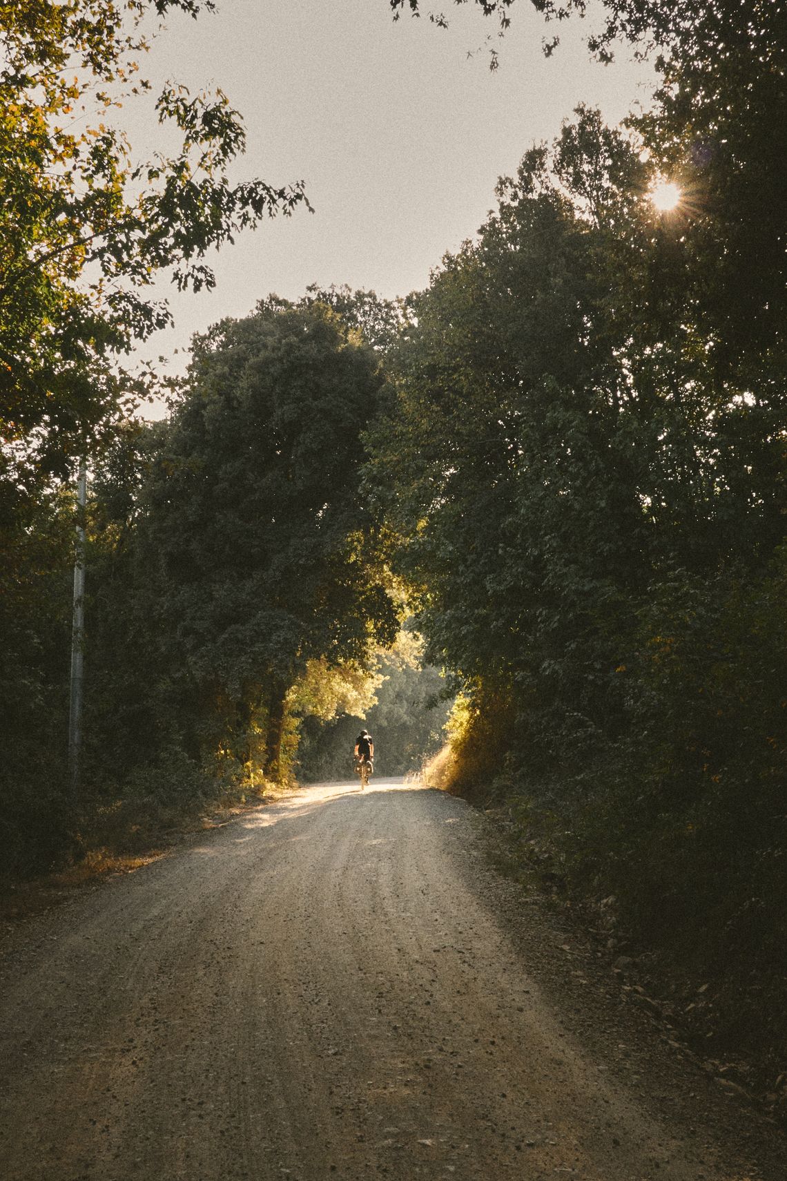 Mike · Tuscany, Italy · October 2023 · © Philipp Doms