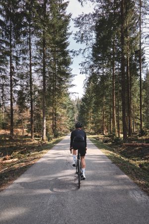 Forest roads