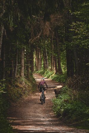 Smooth forest gravel