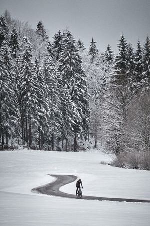 Winter roads