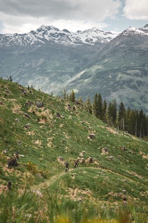 Trail with a view